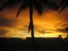 IMG_1085s.JPG
