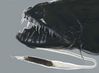 Filename=black_dragonfish.jpg
Filesize=23KiB
Dimensions=630x464
Date added=May 30, 2008 black_dragonfish.jpg