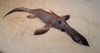 Filename=chimaera_pup.jpg
Filesize=36KiB
Dimensions=709x376
Date added=May 30, 2008 chimaera_pup.jpg
