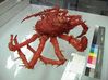 Filename=crab.jpg
Filesize=67KiB
Dimensions=709x531
Date added=May 30, 2008 crab.jpg