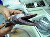 Filename=lizard_fish.jpg
Filesize=73KiB
Dimensions=709x531
Date added=May 30, 2008 lizard_fish.jpg